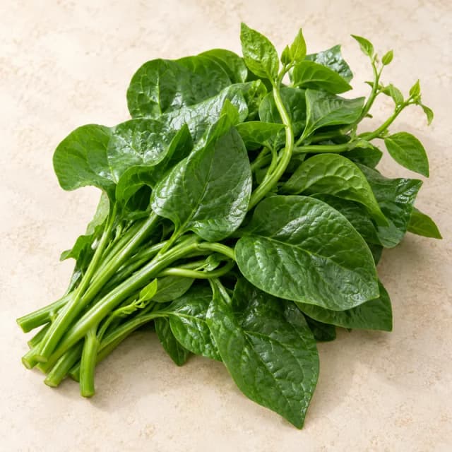 Mồng tơi